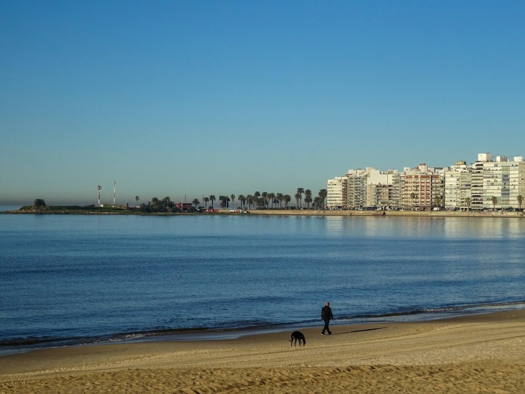 couple walking in montevideo